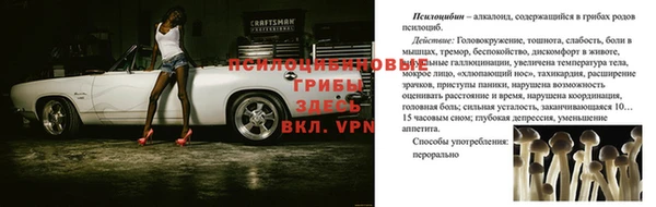 хмурый Верхний Тагил