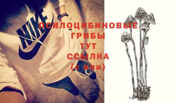 гидропоника Верхнеуральск